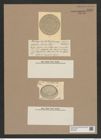 Stephanopyxis raeana Cstr. (de-Toni-Nr.: Genus 187, Species 4649) Zeichnungen Sammlung Grunow Nr. 8296 (NHMW-BOT-W0377694)